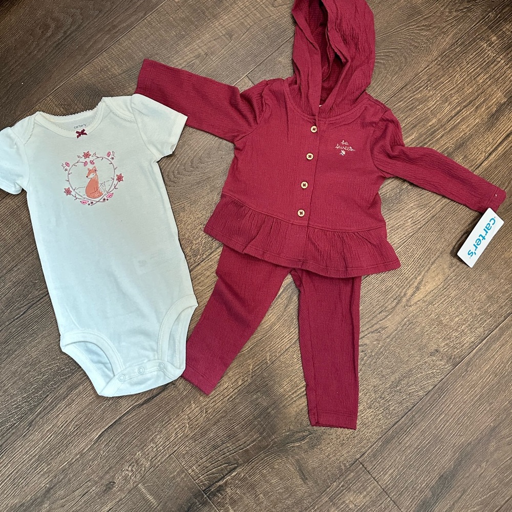 Carter's set of hoodie, pants, and onesie.